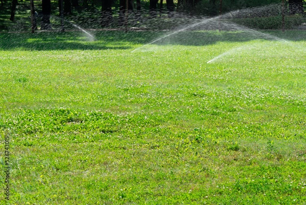 Fototapeta Close-up automatic garden watering system with different sprinklers installed under turf. Landscape design with lawn hills and fruit garden irrigated with smart autonomous sprayers at sunset time.