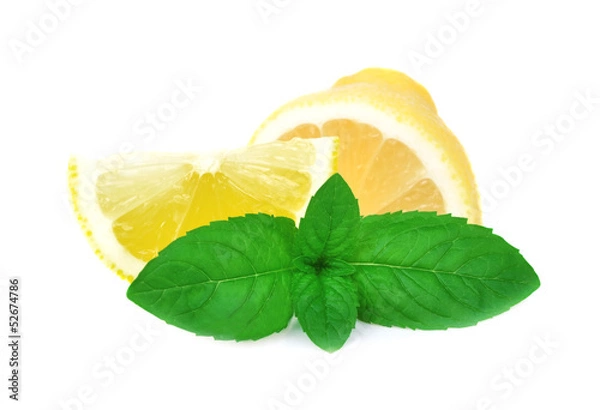 Obraz Slice of lemon with mint