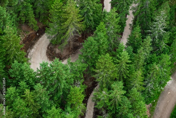 Fototapeta DOLNI MORAVA, CZECH REPUBLIC - MAY 14 2022: Bicyclists ride on hill slope trail park surrounded by green forests. People enjoy riding on bikes uniting with nature aerial view on May 14 in Dolni Morava