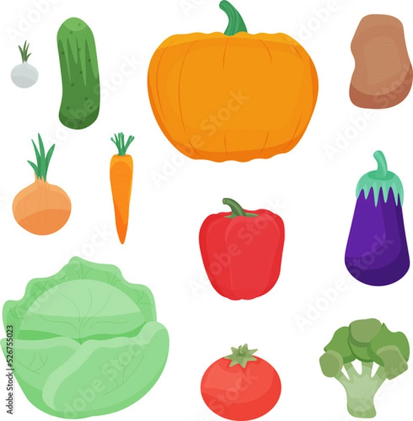 Fototapeta PNG illustration of colorful vegetables. Organic vegetables, on a transparent background, are used for a magazine, book, poster, postcard, menu cover, web pages, printing. Templates.