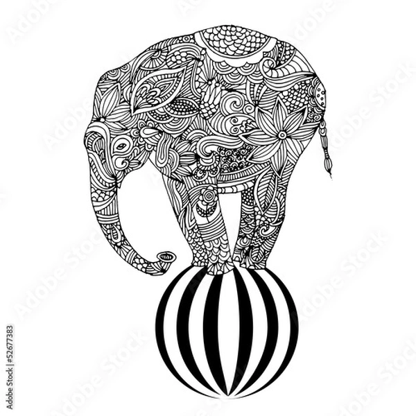 Obraz Elephant on ball
