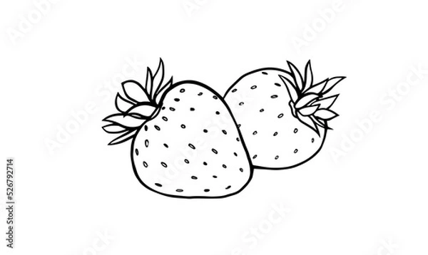 Obraz Strawberry - outline
