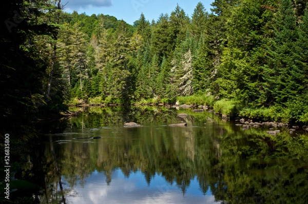 Obraz Beautiful morning view of boreal forest and pine trees reflecting in the au sable river in upstate new york.