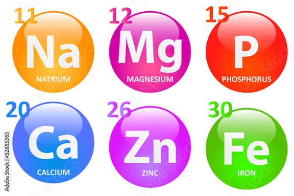 Obraz Essential Minerals