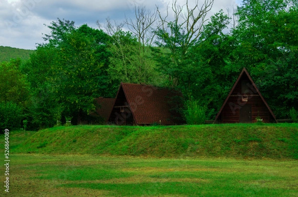 Obraz house in the woods
