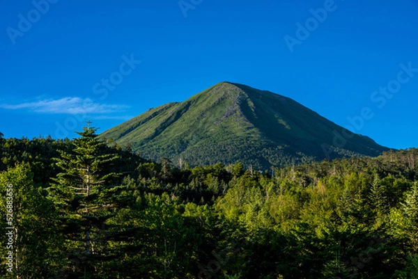 Obraz 御嶽山（継子岳・日和田富士）　岐阜県高山市高根町日和田高原から