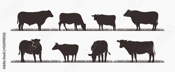 Obraz Silhouette cow livestock collection. perfect for design elements. vector illustration