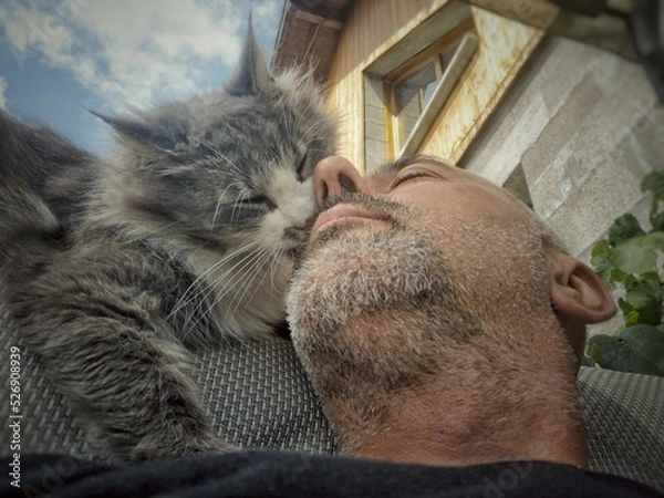 Obraz relation à l'animal - Chat