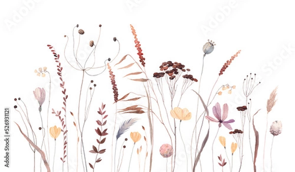 Fototapeta Autumn meadow. Cute watercolor flowers horizontal border isolated on white background. Illustration for card, border, banner or your other design.