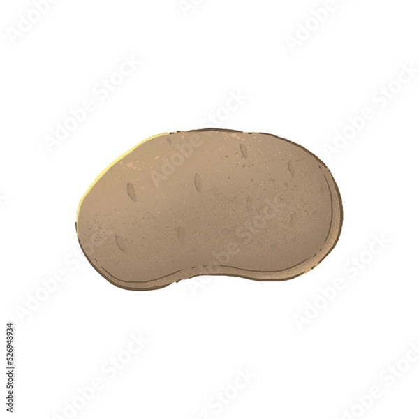 Obraz Autumn harvest: potatoes. Color illustration on a white background.