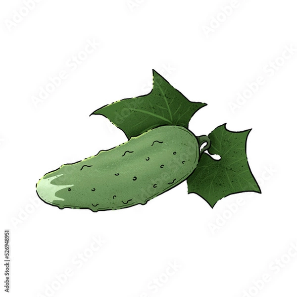 Obraz Autumn harvest: cucumber. Color illustration on a white background.
