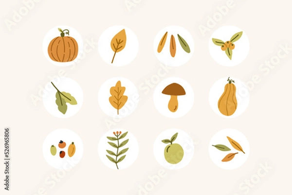 Obraz Set of autumn elements, stickers, highlights, round covers, icons. Fall cute illustrations. Vector graphics. 