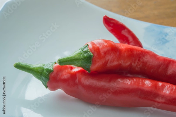 Obraz 赤南蛮（とうがらし）