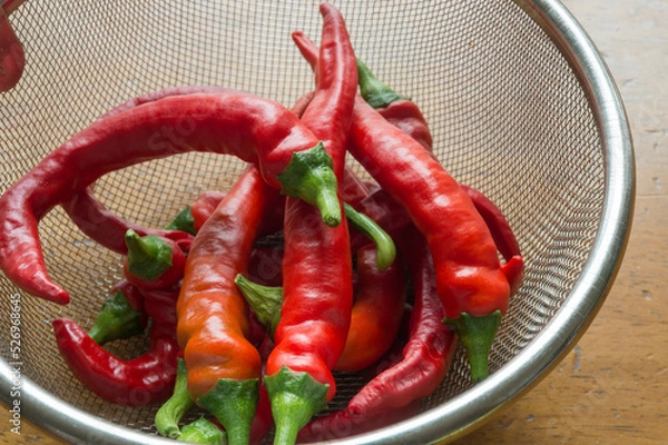 Obraz 赤南蛮（とうがらし）