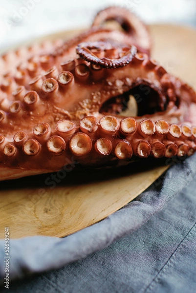 Fototapeta Octopus