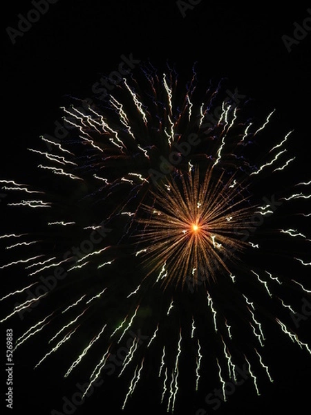 Obraz fireworks at night