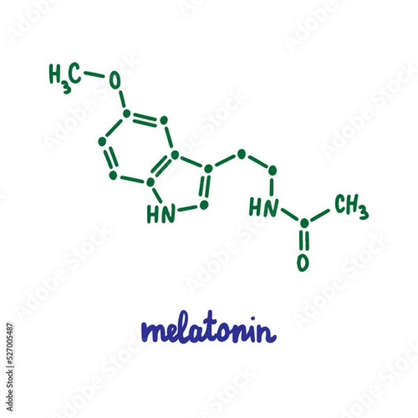 Fototapeta Melatonin hand drawn vector formula chemical structure lettering blue green