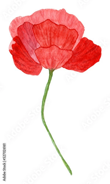 Fototapeta Set of watercolor flowers isolated on white background. Blue Ukrainian clipart. Hand drawn wildflowers illustration. Autumn design fashion fabric, textile, cover, wrapping paper product, blog, cloth