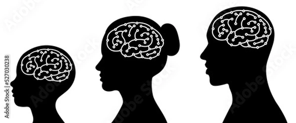 Obraz Set of icons, digital brain in human head, simple design. men, women, children and babies