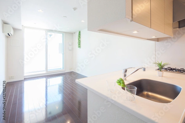 Fototapeta 部屋のキッチン