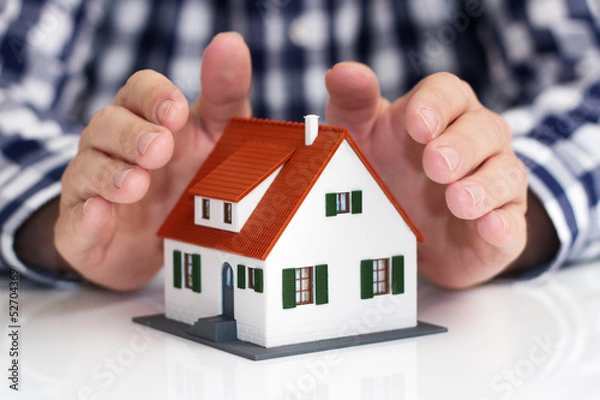 Obraz Hand over mini house