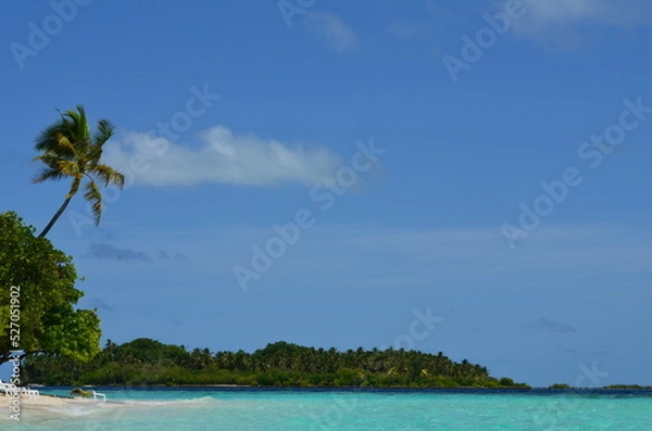 Fototapeta Beach loungers on paradisiacal island beach with palm tree