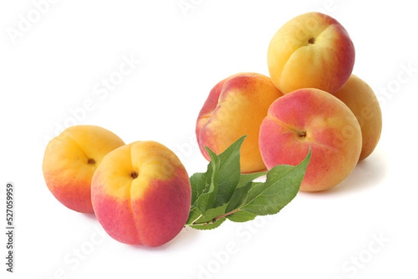 Fototapeta Tasty apricots with sprig isolated on white