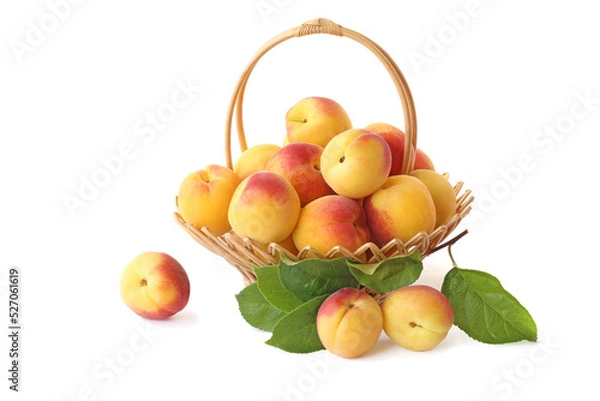 Fototapeta Apricots in wicker basket with sprig isolated on white