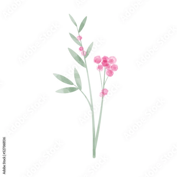 Obraz Pink floral leaf watercolor
