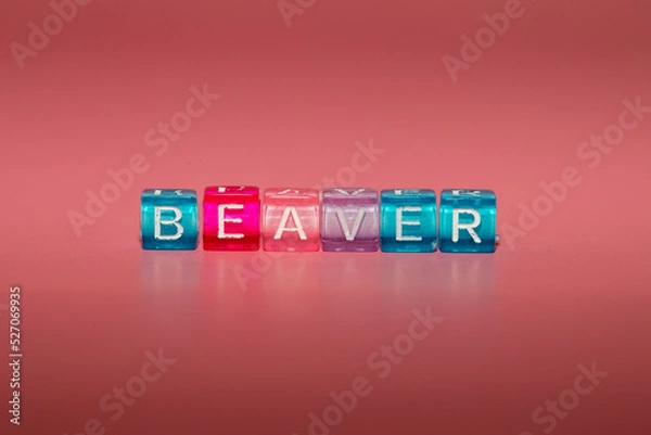 Fototapeta The word "beaver" made up of cubes