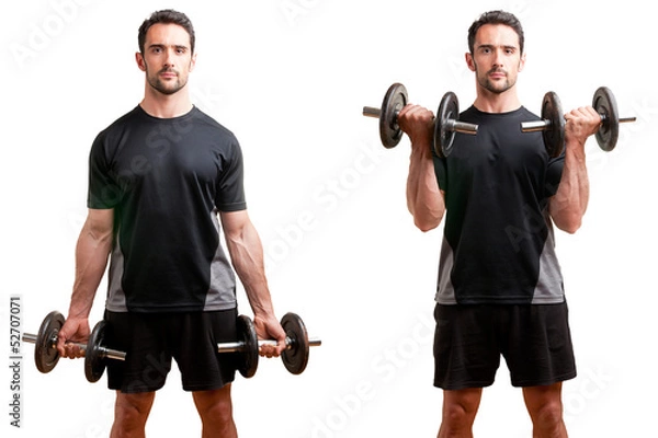 Obraz Standing Bicep Dumbbell Curl