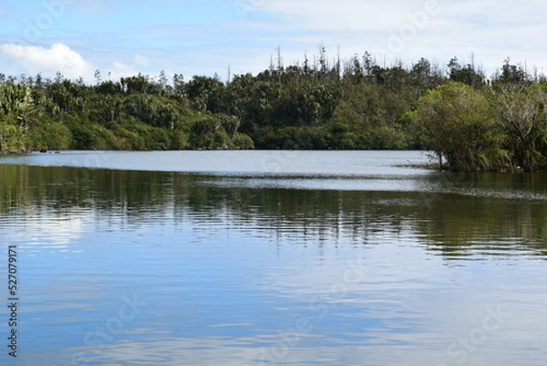 Obraz mauritius island