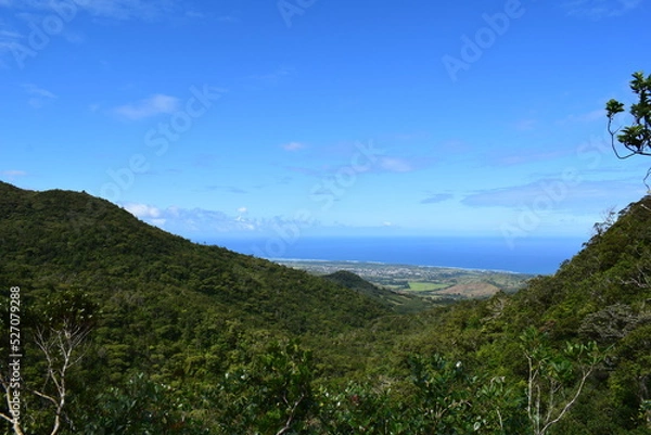 Obraz mauritius island