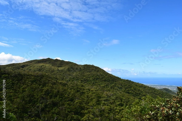 Obraz mauritius island