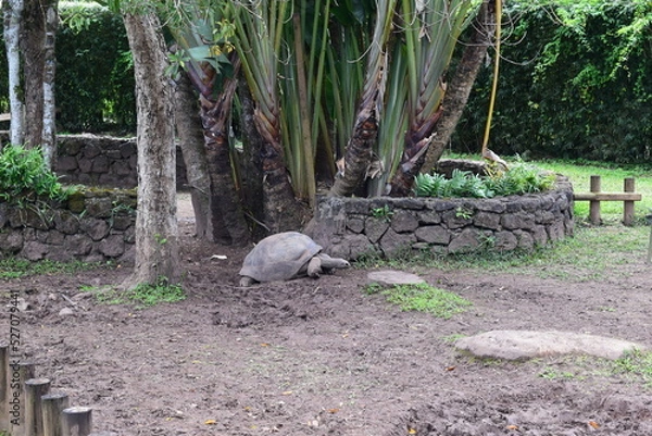 Obraz mauritius chamarel