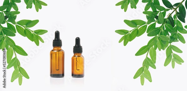 Fototapeta Natural medicine or aroma oil or beauty essence concept mockup two vials with dropper on glass stand with green plant and white background. Face and body spa serum care concept banner