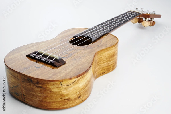 Obraz Music instrument