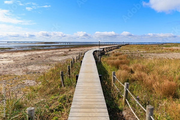 Fototapeta 野付半島のトドワラ桟橋「秋の北海道」