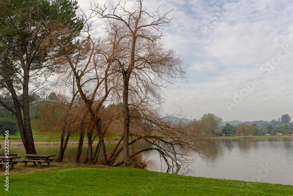 Obraz Civic Center, Marin County, CA
