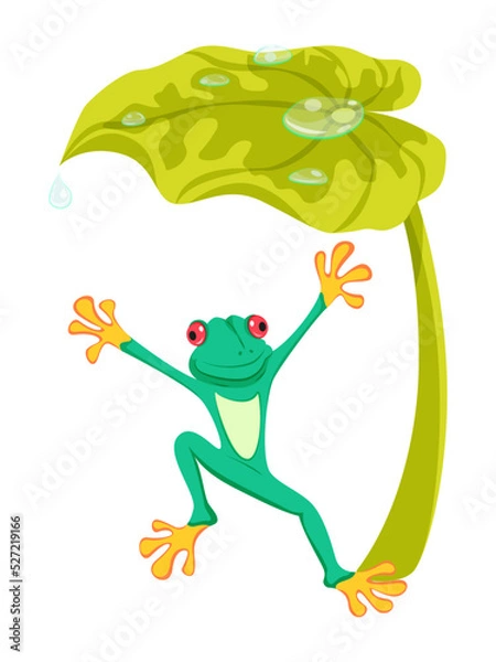 Fototapeta FrogUnderLeaf