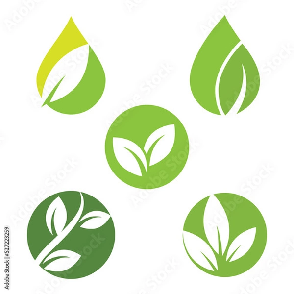 Fototapeta Green leaf logo ecology nature element vector icon