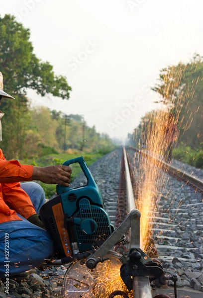 Obraz Workers were cutting tracks for maintenance.