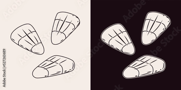 Fototapeta Set of candy corns in vintage style. Traditional halloween sweets isolated on a dark and white background. Monochrome vector illustration.