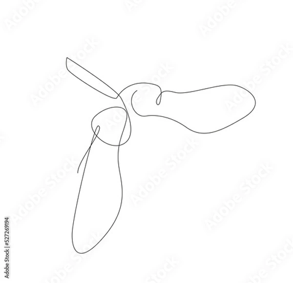 Fototapeta One line maple seeds. Vector line art tree seed. outline botanic illustration