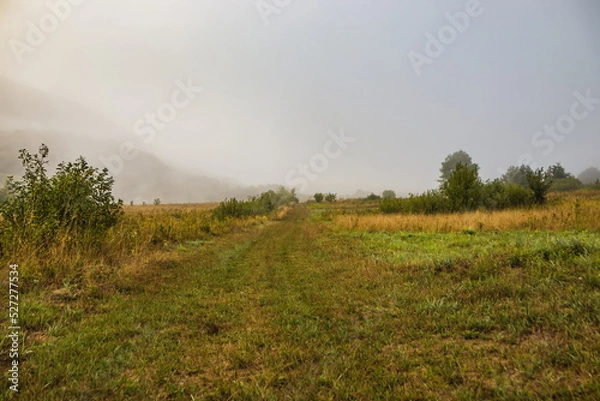 Fototapeta Mountain from view with small village and flow fog. Foggy summer morning in the mountains and a small village. Country road in the mountains. Carpathians. Polyana. Ukraine
