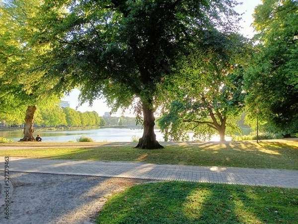 Obraz Summer day in the park