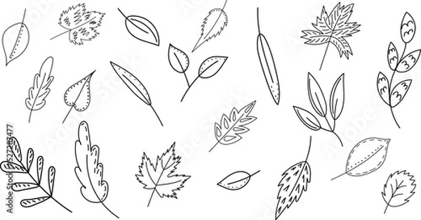 Fototapeta leaves set in doodle sketch, outline vector, isolated