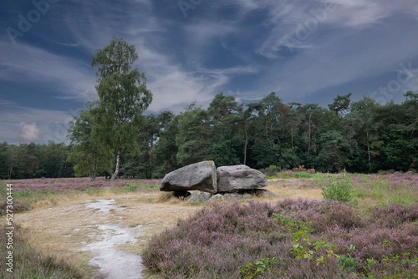 Fototapeta Dolmen D40, Valtherbos municipality of Emmen in the Dutch province of Drenthe is a Neolithic Tomb and protected historical monument in an natural environment