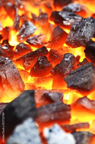 Obraz Live coals