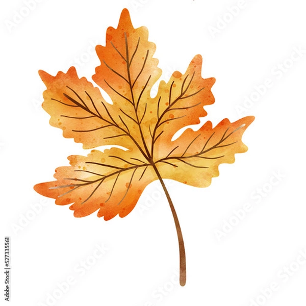 Fototapeta autumn leaf 